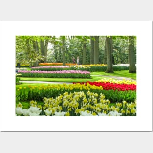 Keukenhof Tulip Festival, Holland Posters and Art